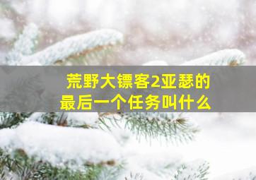 荒野大镖客2亚瑟的最后一个任务叫什么