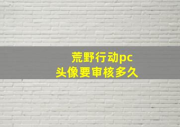 荒野行动pc头像要审核多久