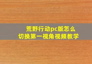 荒野行动pc版怎么切换第一视角视频教学