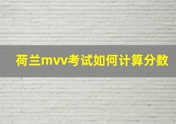 荷兰mvv考试如何计算分数