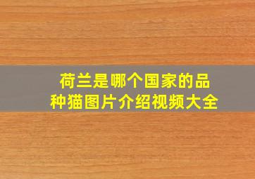 荷兰是哪个国家的品种猫图片介绍视频大全