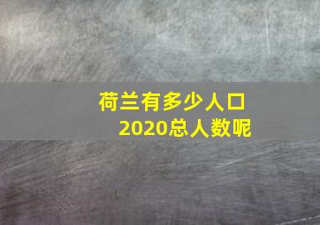 荷兰有多少人口2020总人数呢