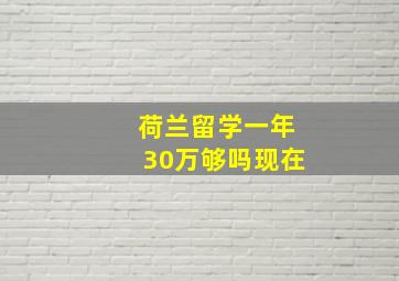 荷兰留学一年30万够吗现在