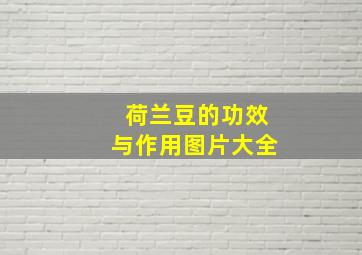 荷兰豆的功效与作用图片大全