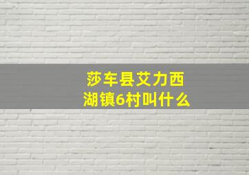 莎车县艾力西湖镇6村叫什么