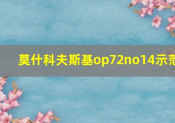 莫什科夫斯基op72no14示范