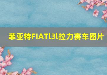 菲亚特FIATl3l拉力赛车图片