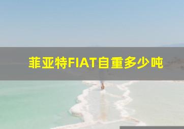 菲亚特FIAT自重多少吨