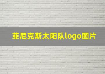 菲尼克斯太阳队logo图片