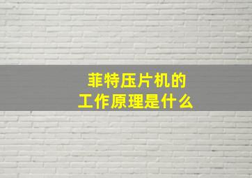 菲特压片机的工作原理是什么