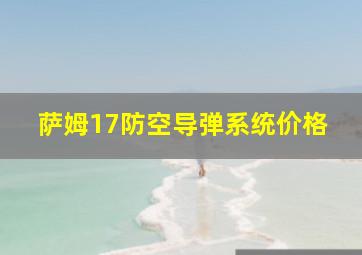 萨姆17防空导弹系统价格