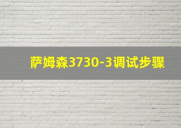 萨姆森3730-3调试步骤