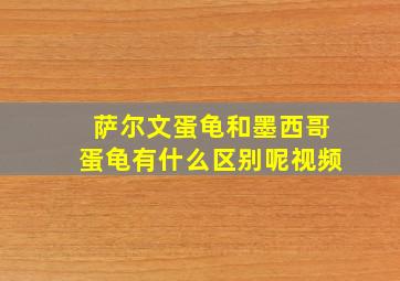 萨尔文蛋龟和墨西哥蛋龟有什么区别呢视频