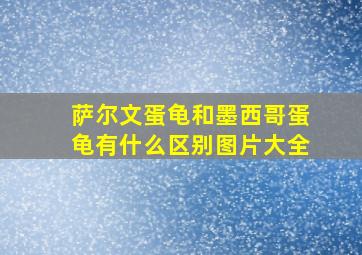 萨尔文蛋龟和墨西哥蛋龟有什么区别图片大全