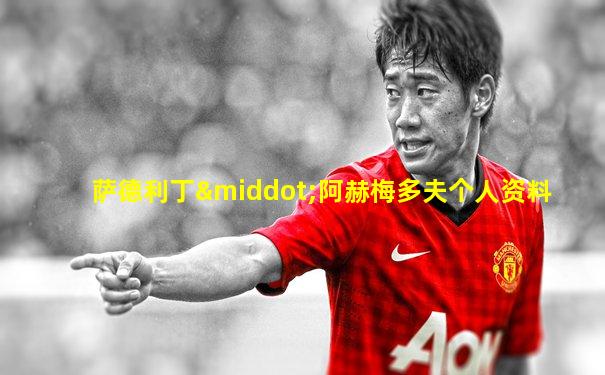 萨德利丁·阿赫梅多夫个人资料
