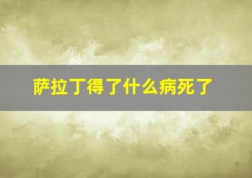 萨拉丁得了什么病死了