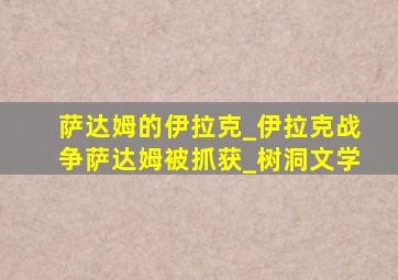 萨达姆的伊拉克_伊拉克战争萨达姆被抓获_树洞文学