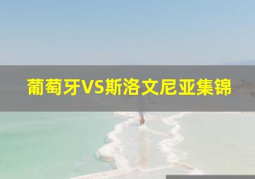 葡萄牙VS斯洛文尼亚集锦