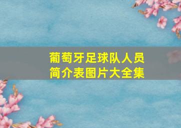 葡萄牙足球队人员简介表图片大全集