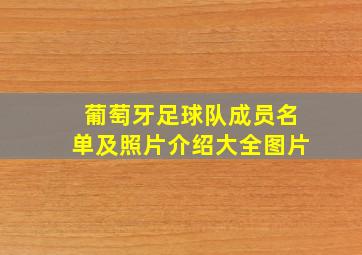 葡萄牙足球队成员名单及照片介绍大全图片