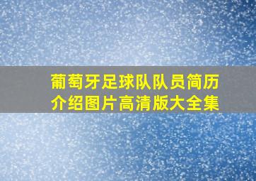 葡萄牙足球队队员简历介绍图片高清版大全集