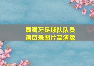 葡萄牙足球队队员简历表图片高清版