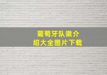 葡萄牙队徽介绍大全图片下载