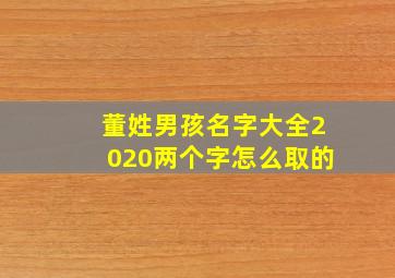 董姓男孩名字大全2020两个字怎么取的