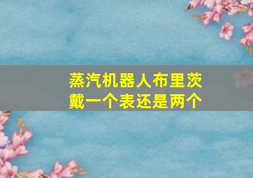 蒸汽机器人布里茨戴一个表还是两个