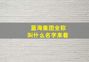 蓝海集团全称叫什么名字来着