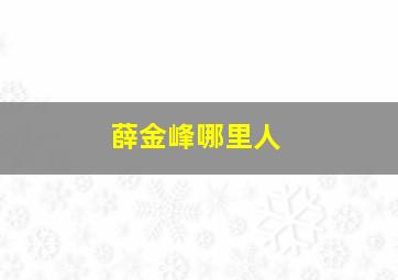 薛金峰哪里人