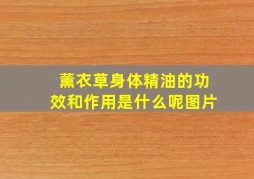 薰衣草身体精油的功效和作用是什么呢图片