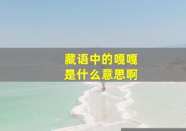 藏语中的嘎嘎是什么意思啊