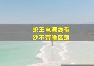 蛇王电源线带沙不带啥区别