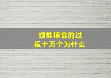 蜘蛛捕食的过程十万个为什么