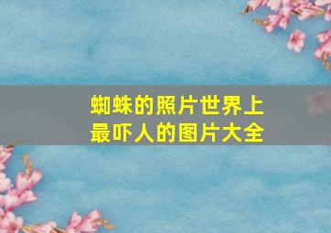 蜘蛛的照片世界上最吓人的图片大全