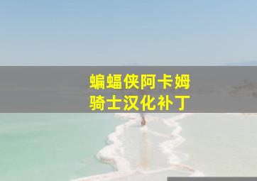 蝙蝠侠阿卡姆骑士汉化补丁