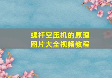 螺杆空压机的原理图片大全视频教程