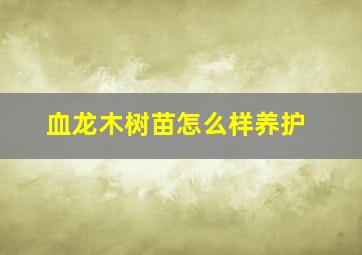 血龙木树苗怎么样养护