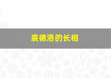 裘德洛的长相