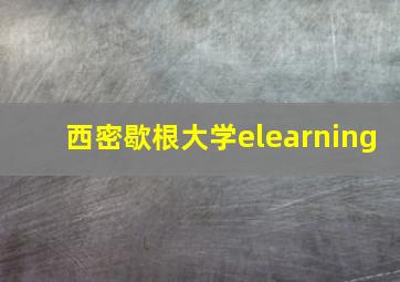 西密歇根大学elearning