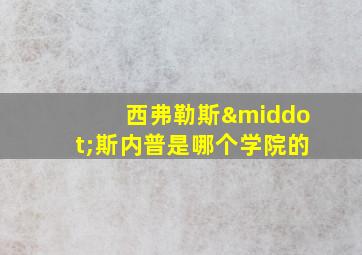 西弗勒斯·斯内普是哪个学院的