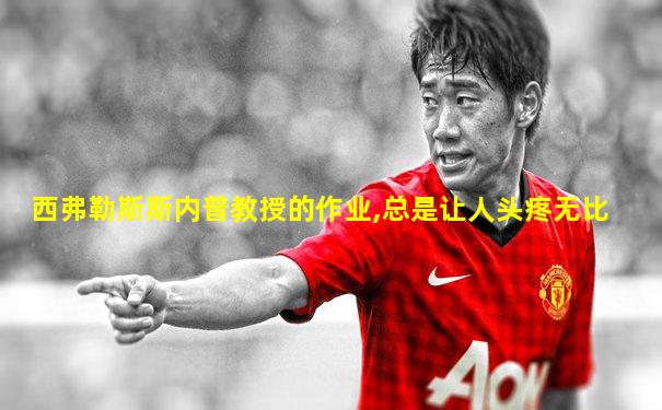 西弗勒斯斯内普教授的作业,总是让人头疼无比