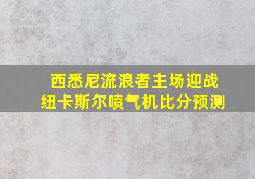 西悉尼流浪者主场迎战纽卡斯尔喷气机比分预测