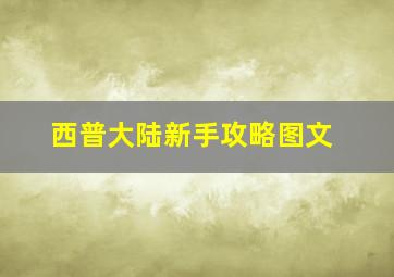 西普大陆新手攻略图文