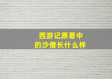 西游记原著中的沙僧长什么样