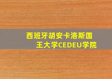 西班牙胡安卡洛斯国王大学CEDEU学院