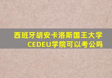 西班牙胡安卡洛斯国王大学CEDEU学院可以考公吗