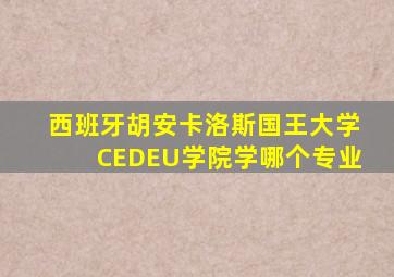 西班牙胡安卡洛斯国王大学CEDEU学院学哪个专业