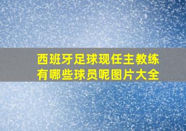 西班牙足球现任主教练有哪些球员呢图片大全